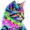 Girl’s Rainbow Kitten Canvas Painting Girl’s Rainbow Kitten Canvas Painting