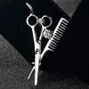 Women’s Scissors and Combs Brooch