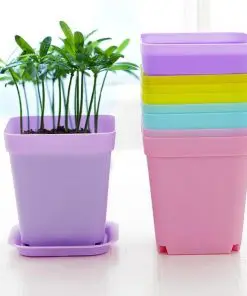 Alternative view of Flower Pots