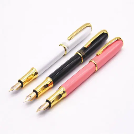 Business Office Fountain Pen