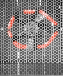 5 Star Chef Stainless Steel Food Dehydrator with 6 Trays