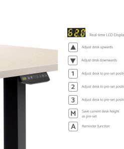 Artiss 160cm Motorised Electric Height Adjustable Standing Desk Table Dual Motor