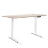 Artiss Height Adjustable Standing Desk Sit Stand Motorised Electric Roskos III White White Oak