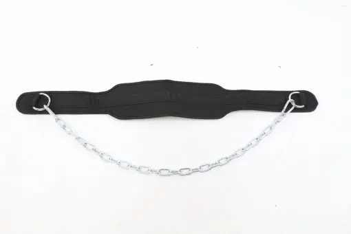 Weightlifting Belt