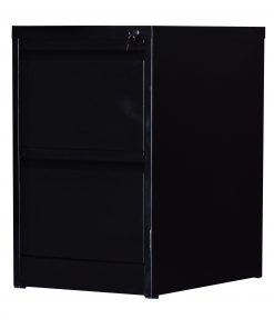 2-Drawer Shelf Office Gym Filing Storage Locker Cabinet