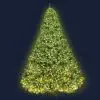 Jingle Jollys 2.4M 8FT Christmas Tree Xmas 3190 LED Lights Warm White 1436 Tips