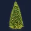 Jingle Jollys 1.8M 6FT Christmas Tree 874 LED Lights 874 Tips Warm White Green