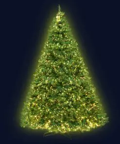 Jingle Jollys 2.4M 8FT Christmas Tree 1488 LED Lights 1488 Tips Warm White Green