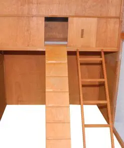 vidaXL Chicken Coop Wood 295x163x170 cm