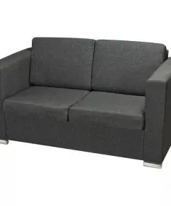 vidaXL 2-Seater Sofa Fabric Dark Grey