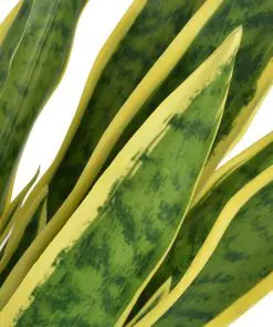 vidaXL Artificial Sansevieria Plant with Pot 90 cm Green