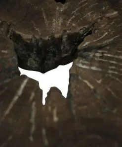 vidaXL Coffee Table Genuine Teak 80x70x38 cm