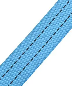 vidaXL Ratchet Tie Down Straps 4 pcs 2 Tonnes 6mx38mm Blue