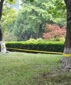 vidaXL Slackline 15 m x 50 mm 150 kg Yellow