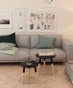 vidaXL Side Table Set 2 Pieces Solid Pinewood Black