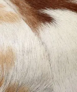 vidaXL Bench Genuine Goat Leather 160x28x50 cm