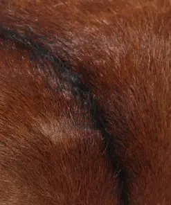 vidaXL Bench Genuine Goat Leather 160x28x50 cm