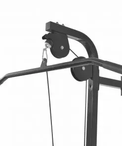 vidaXL Wall-mounted Home Gym with 2 Pulleys