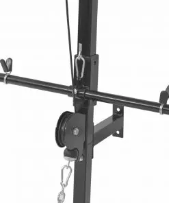 vidaXL Wall-mounted Home Gym with 2 Pulleys