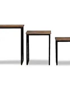 vidaXL 3 Piece Nesting Coffee Table Set Solid Reclaimed Teak