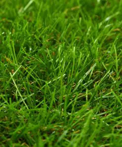 vidaXL Artificial Grass 1×8 m/40 mm Green