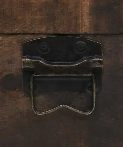 vidaXL Storage Chest Solid Wood Vintage Style 120x30x40 cm