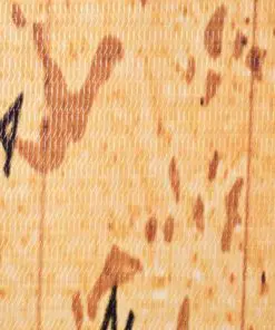 vidaXL Folding Room Divider 228×180 cm World Map Yellow