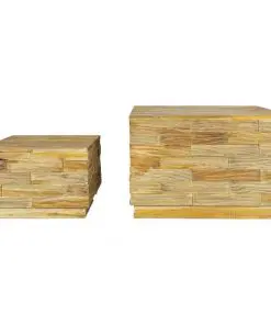 vidaXL Coffee Table Set 2 Piece Solid Teak