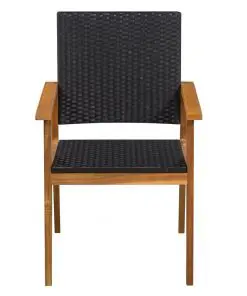 vidaXL Outdoor Chairs 2 pcs Poly Rattan Black and Brown