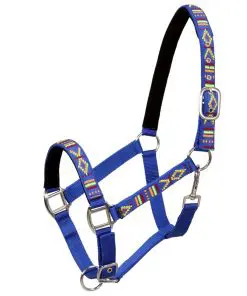 vidaXL Head Collars 2 pcs for Horse Nylon Size Cob Blue