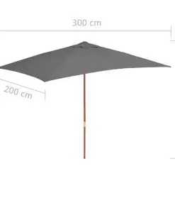 vidaXL Outdoor Parasol with Wooden Pole 200×300 cm Anthracite