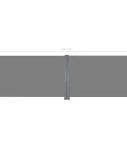 vidaXL Retractable Side Awning 200×600 cm Grey