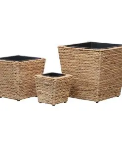 vidaXL Garden Planters 3 pcs Water Hyacinth