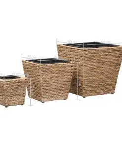 vidaXL Garden Planters 3 pcs Water Hyacinth
