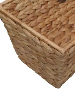 vidaXL Garden Planters 2 pcs Water Hyacinth