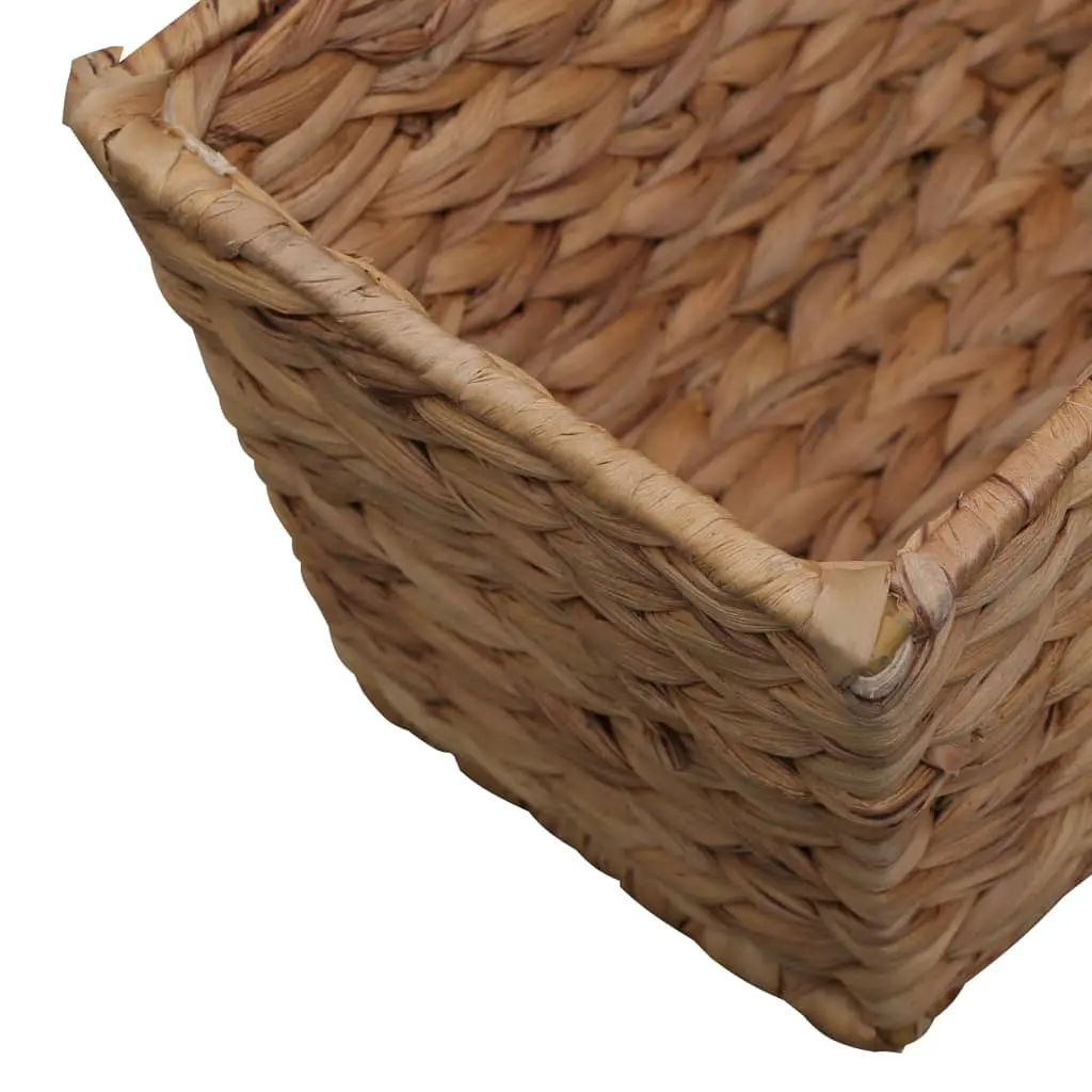 vidaXL Garden Planters 2 pcs Water Hyacinth