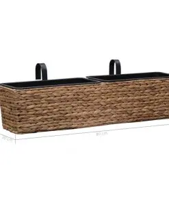 vidaXL Garden Planters 2 pcs Water Hyacinth