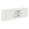 vidaXL TV Cabinet White 120x30x40 cm Wood
