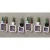 vidaXL Wall Cube Shelves 6 pcs White and Purple