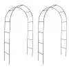 Garden Arch 2 pcs Climbing Plants