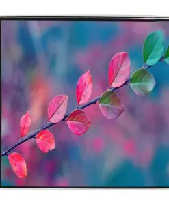 Manual Projection Screen 160 x 123 cm Matt White 4:3 Wall Ceiling Mount