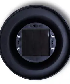 vidaXL Garden Path Solar Ball Light LED 30cm 2pcs with Ground Spike