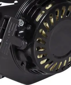 vidaXL Petrol Engine 6.5 HP 4.8 kW Black