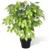 vidaXL Artificial Dwarf Ficus with Pot 60 cm