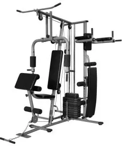 vidaXL Multi-functional Home Gym 65 kg