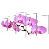 Canvas Wall Print Set Orchid 100 x 50 cm