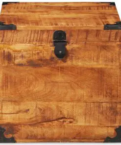 vidaXL Storage Chest Cubic Rough Mango Wood