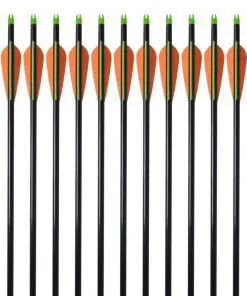 vidaXL Standard Compound Bow Arrows 30″ 0.8 cm Fiberglass 12 pcs
