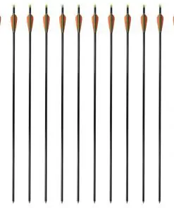 vidaXL Standard Compound Bow Arrows 30″ 0.8 cm Fiberglass 12 pcs