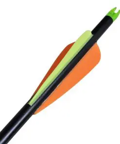 vidaXL Standard Compound Bow Arrows 30″ 0.8 cm Fiberglass 12 pcs